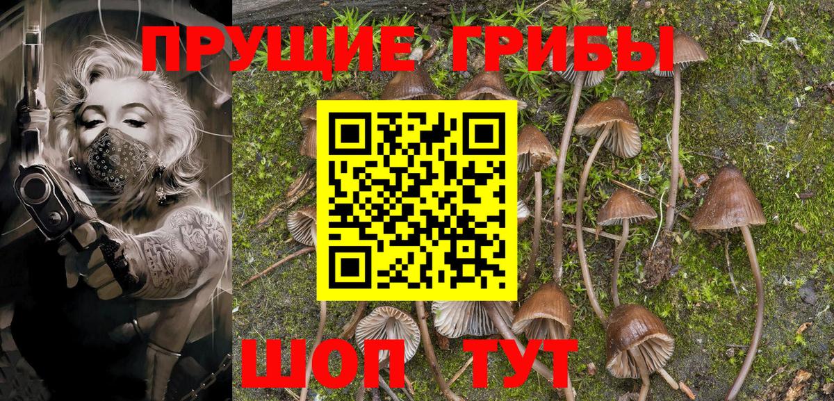 Балтийск  Псилоцибиновые грибы Psilocybine cubensis  Вход с VPN 