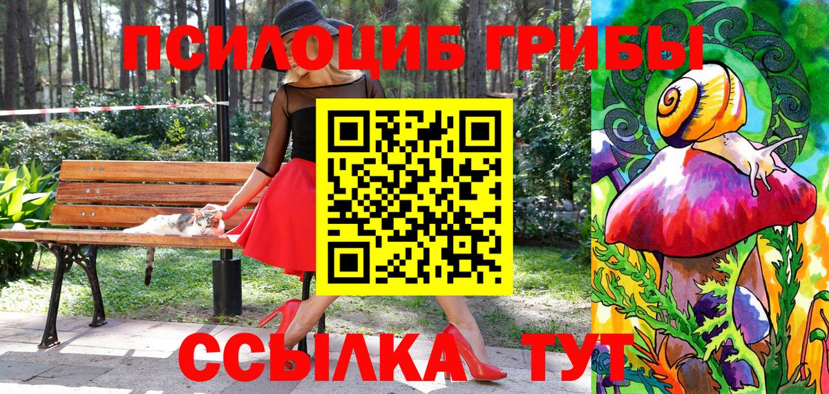 Галлюциногенные грибы Magic Shrooms Балтийск